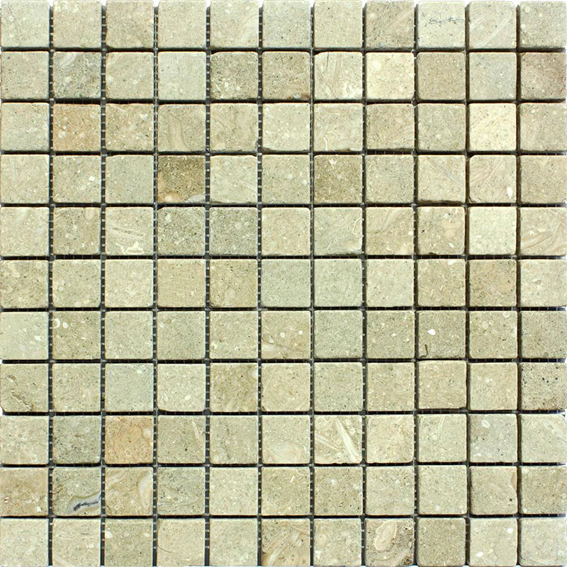 Seagrass 1x1 Tumbled Mosaic