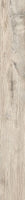 Larix Perla RT 5.50 x 32