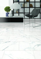 Malaysia Carrara Pre Matte 12 x 24