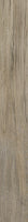 Selection Oak Amber 6 x 48