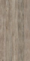 Selection Oak Amber 8 x 48