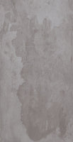 Raw Grey 30 x 60