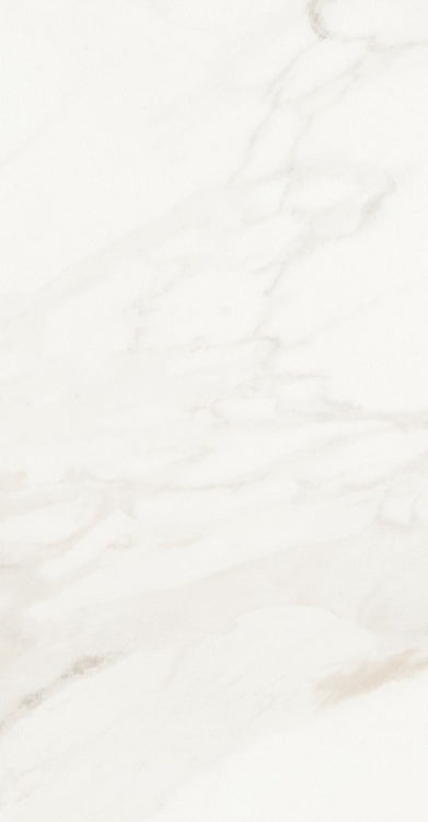 Malaysia Calacatta Levigato 12 x 24