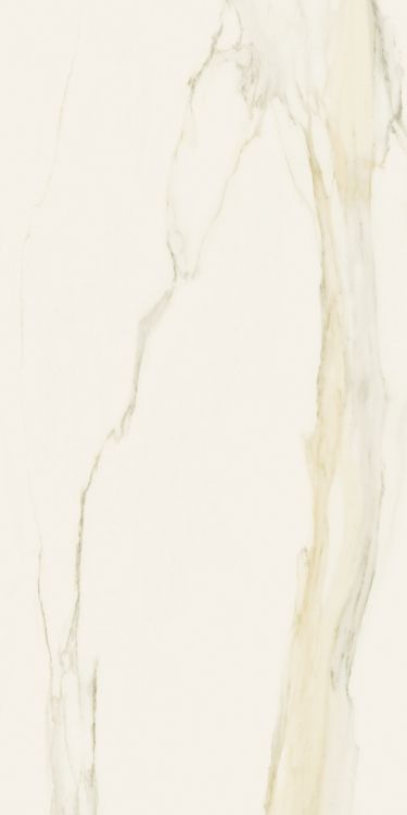 Classici Calacatta Gold Matte 12 x 24
