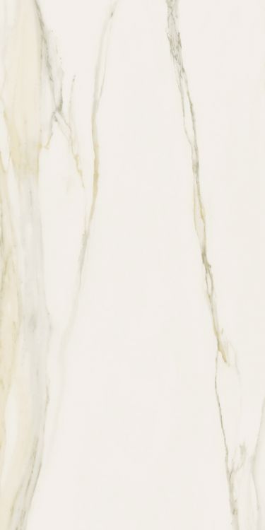 Classici Calacatta Gold Matte 12 x 24