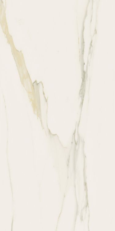 Classici Calacatta Gold Matte 12 x 24