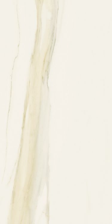 Classici Calacatta Gold Matte 12 x 24