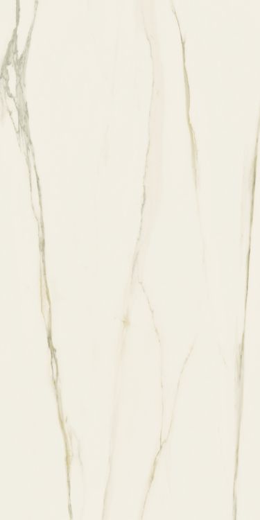 Classici Calacatta Gold Matte 12 x 24