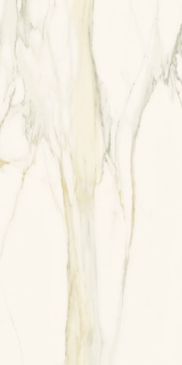 Classici Calacatta Gold Matte 12 x 24