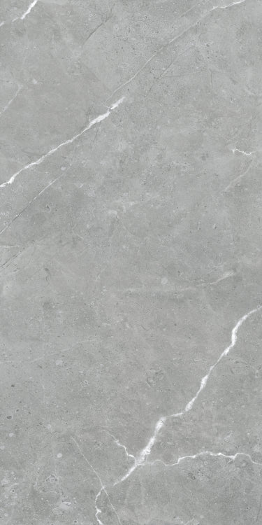 Lava Natural Grey Matte 24 x 48