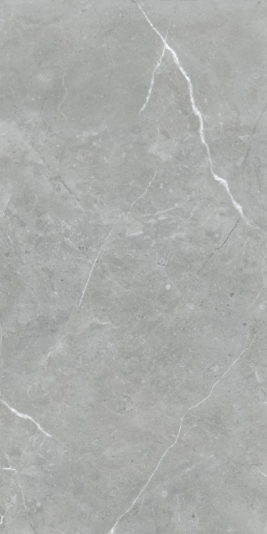 Lava Natural Grey Matte 24 x 48