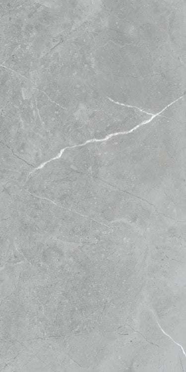 Lava Natural Grey Matte 24 x 48