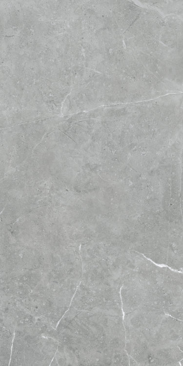 Lava Natural Grey Matte 24 x 48