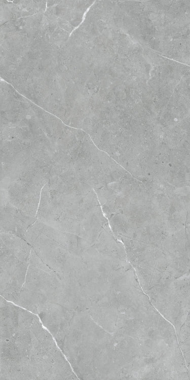 Lava Natural Grey Matte 24 x 48