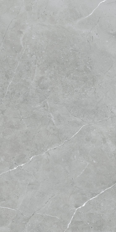 Lava Natural Grey Matte 24 x 48