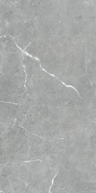 Lava Natural Grey Matte 24 x 48
