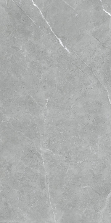Lava Natural Grey Matte 24 x 48