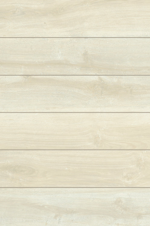 Urban Wood White Birch 6 x 36