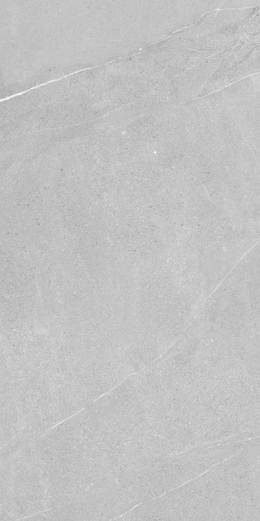 Madison Argent 24 x 48