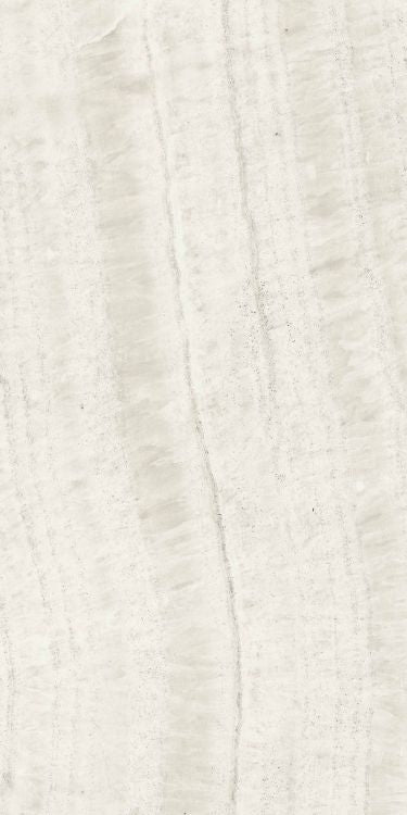 Trilogy Onyx Light Soft 12 x 24