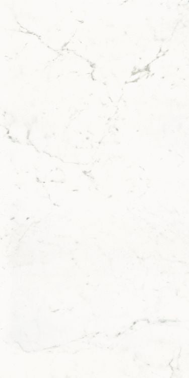 Pure Carrara Lux 24 x 48