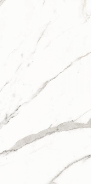 Trilogy Calacatta White Soft 12 x 24
