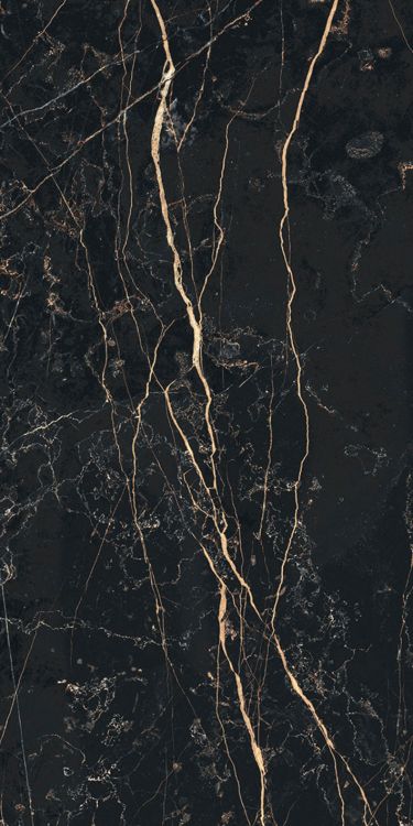 Prexious Thunder Night Tile Matte 12 x 24