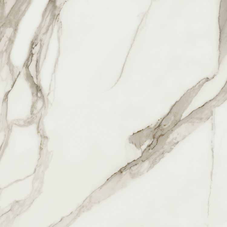 Prestigio Calacatta Soft Tile Matte 48 x 48