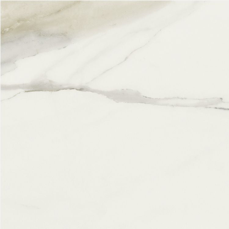 Classici Calacatta Gold Tile Glossy 24 x 24