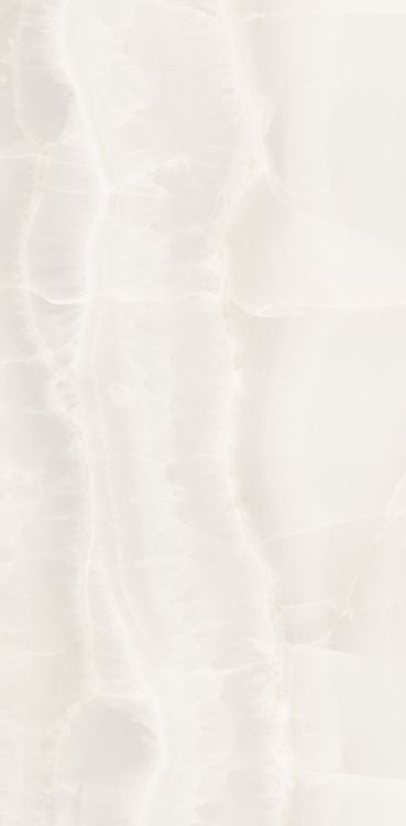 Akoya White Tile Matte 12 x 24
