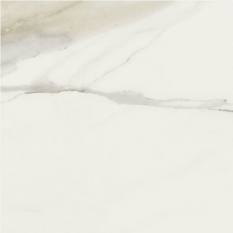Classici Calacatta Gold Matte 24 x 24