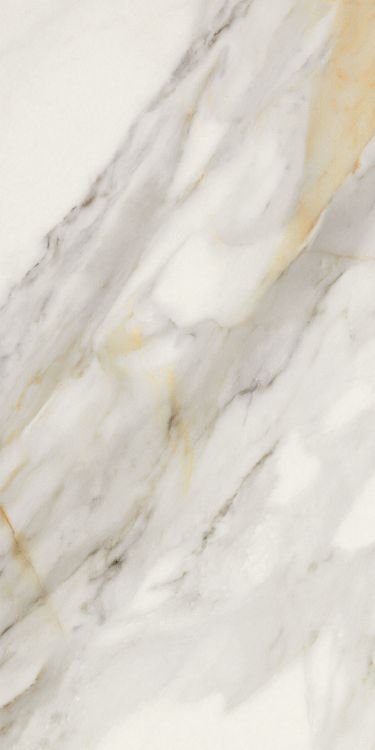 Marmi Macchiavecchia Tile Matte 12 x 24