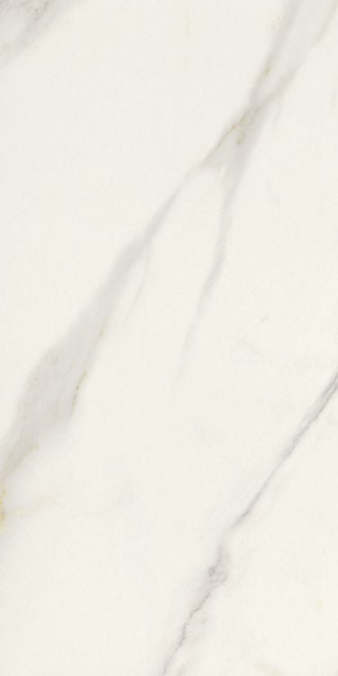Marmi Macchiavecchia Matte 12 x 24