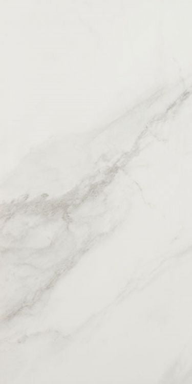 EC Snow Tile Polished 12 x 24
