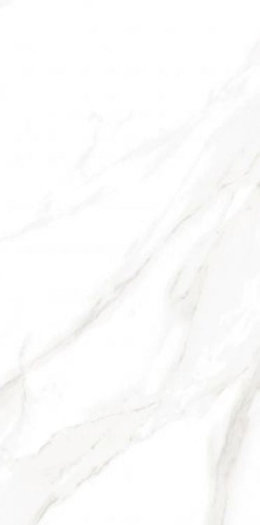 EC Calacatta Gold Tile Matte 12 x 24