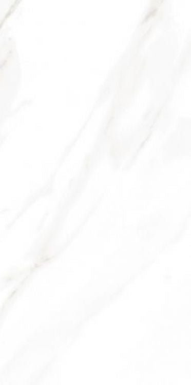 EC Calacatta Gold Matte 12 x 24