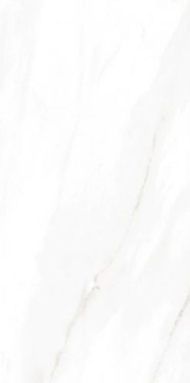 EC Calacatta Gold Matte 12 x 24