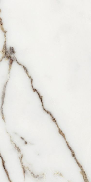 Origines Or Tile Matte 12 x 24