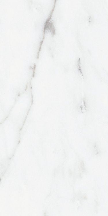 Origines Argent Matte 12 x 24