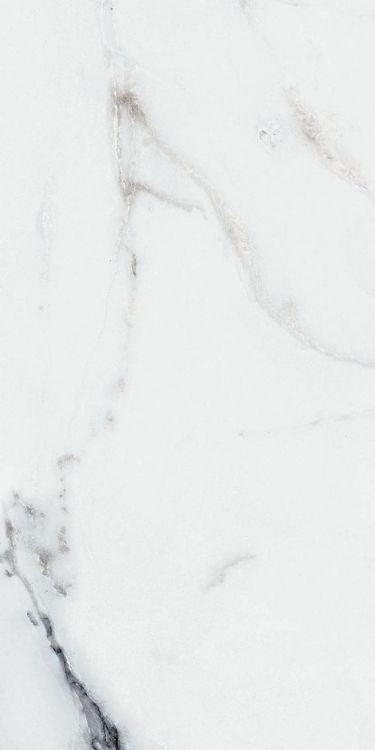 Origines Argent Matte 12 x 24