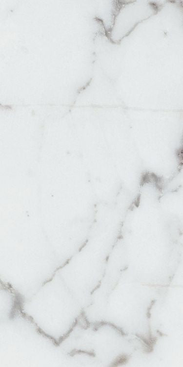 Origines Argent Matte 12 x 24