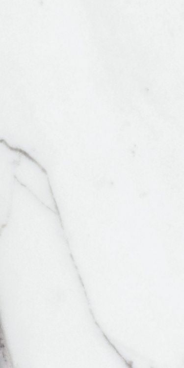 Origines Argent Matte 12 x 24