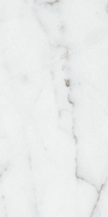 Origines Argent Matte 12 x 24