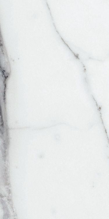 Origines Argent Matte 12 x 24