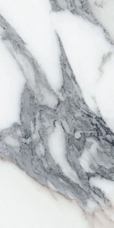 Origines Argent Matte 12 x 24