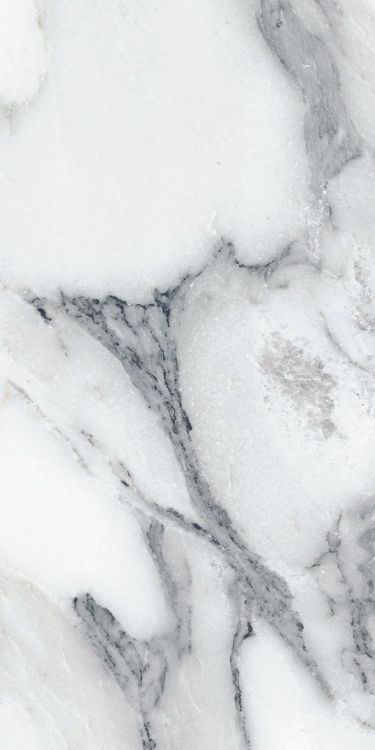 Origines Argent Tile Matte 12 x 24