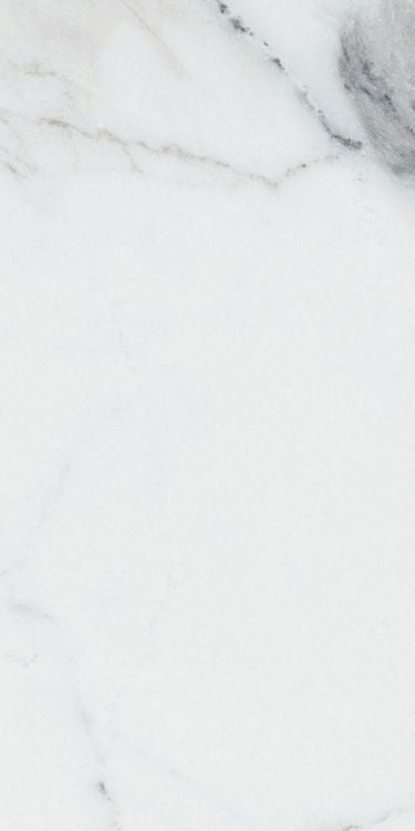 Origines Argent Glossy 12 x 24