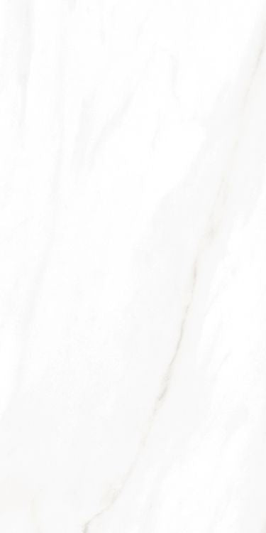 EC Calacatta Gold Polished 12 x 24