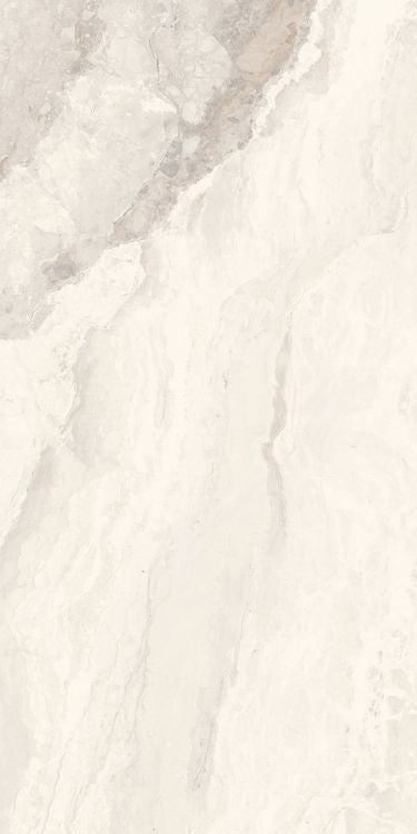 Mystic Ivory Matte 12 x 24