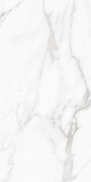 Carenza Bianca Tile Polished 24 x 48